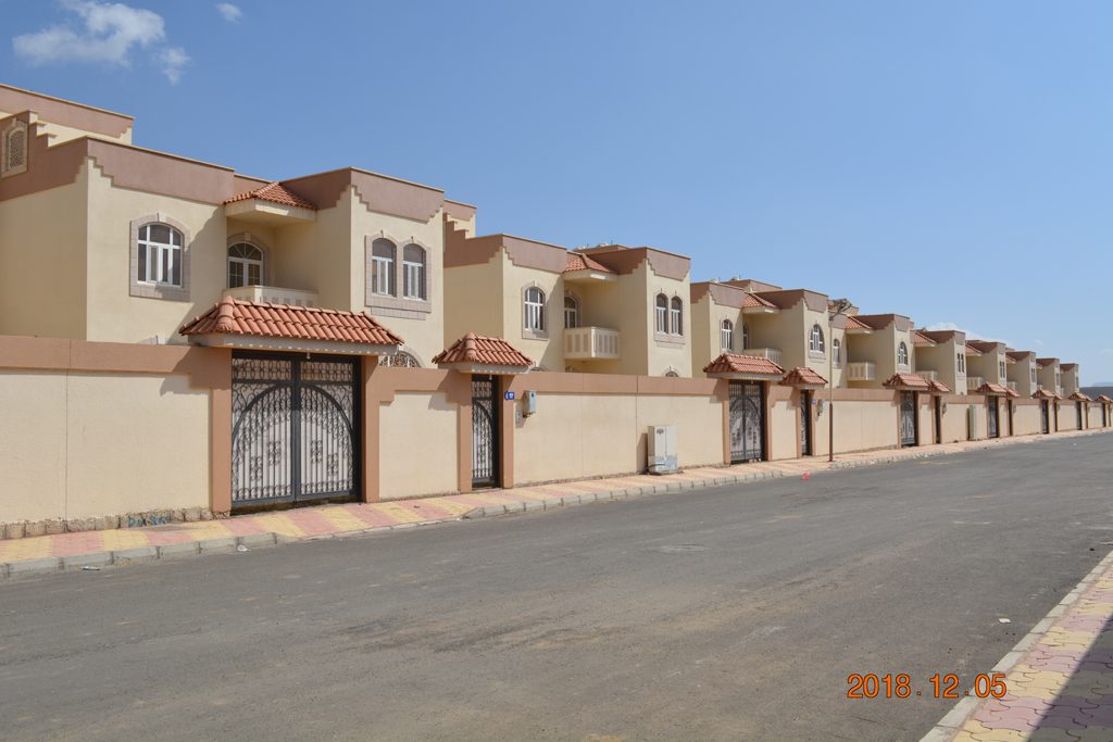 تضامن سيتي 1